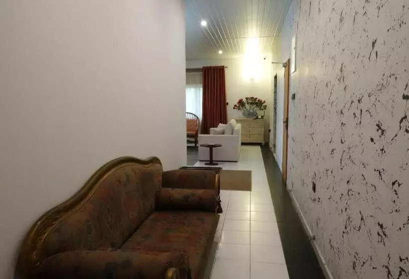 ベッドアンドブレックファースト Palm Grove