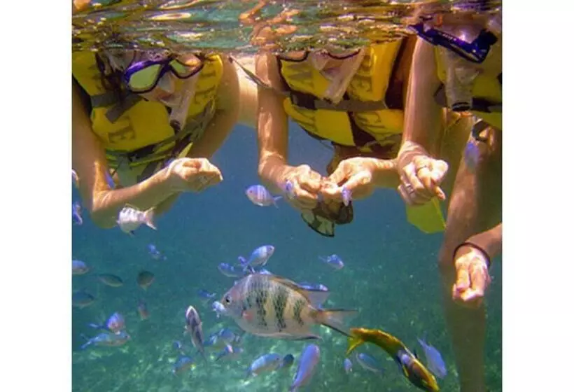 ホテル Hamahigashima Resort   Vacation Stay 10606v