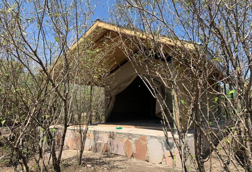 هتل Resian Mara Camp