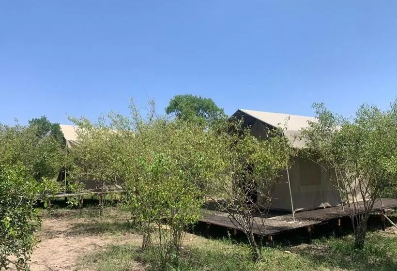 هتل Resian Mara Camp