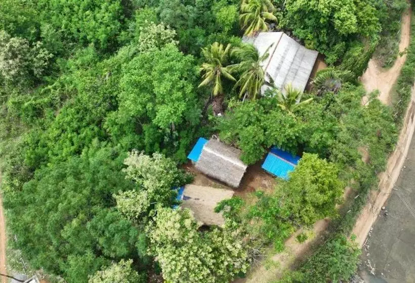 Hotelli Wild Safari Clay House