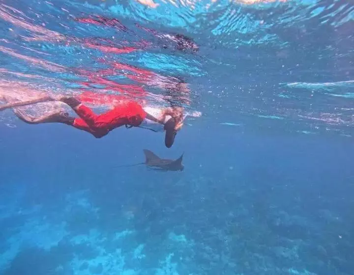 ペンション David Homestay Raja Ampat