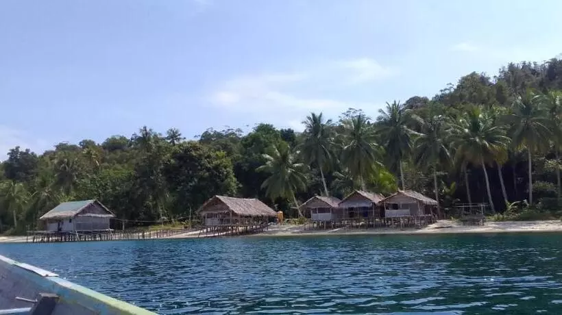 ペンション David Homestay Raja Ampat