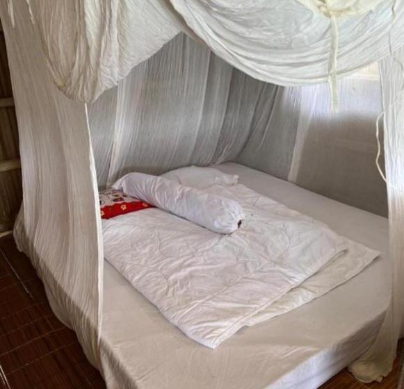 Pensió David Homestay Raja Ampat