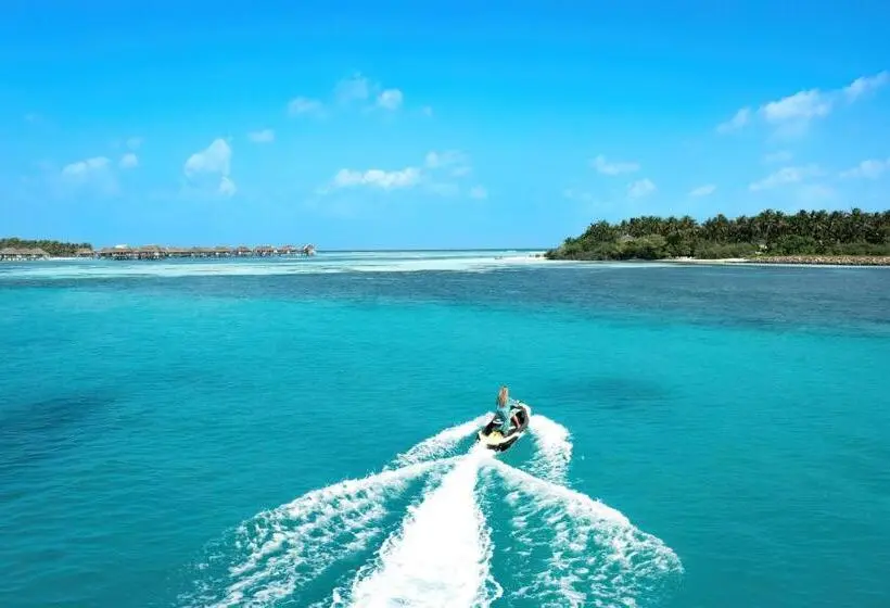 پانسیون Silver Oasis Maldives
