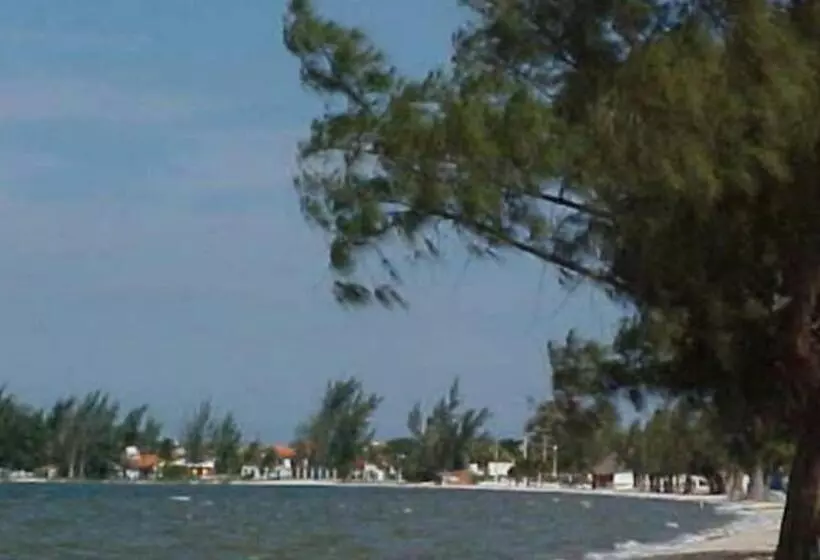 Majatalo Vem Curtir O Carnaval! Casa Rodrigues   Praia Seca, Araruama