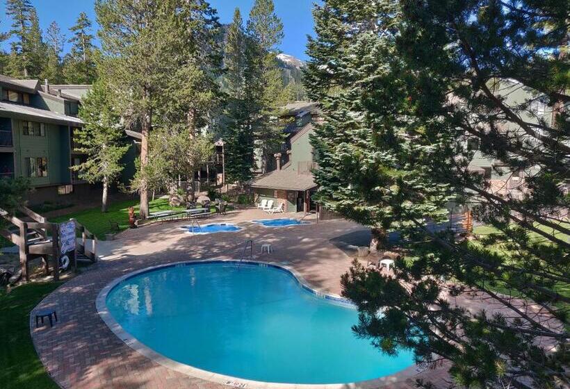 Cozy Ski Chalet Only 120 Yds To Lift! King Bed