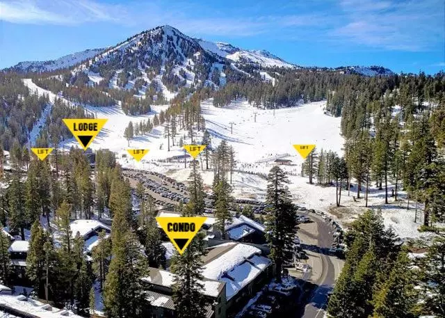 Cozy Ski Chalet   Only 120 Yds To Lift! King Bed
