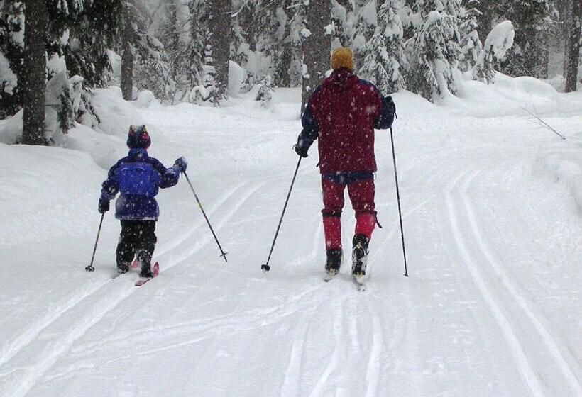 Cozy Ski Chalet Only 120 Yds To Lift! King Bed