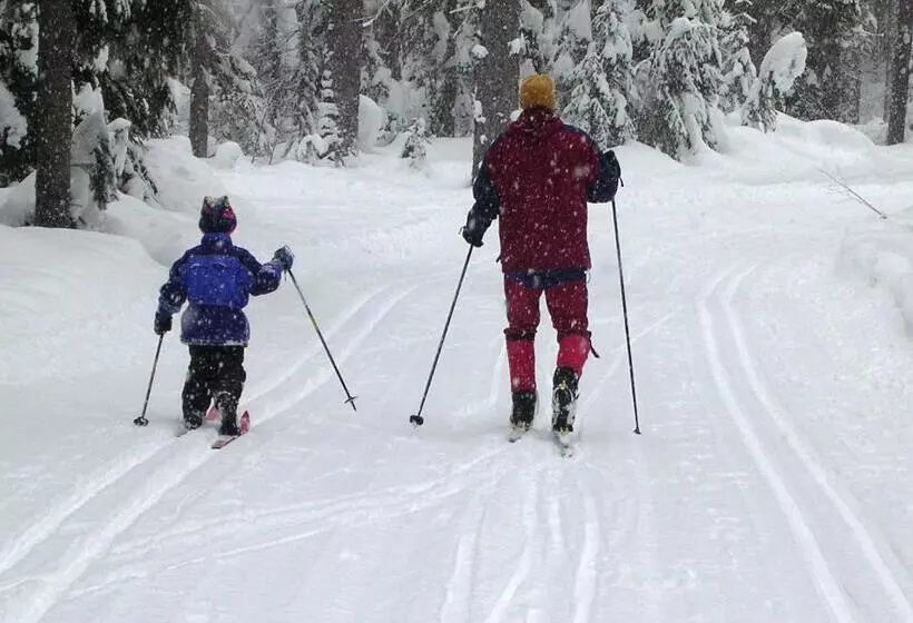 Cozy Ski Chalet   Only 120 Yds To Lift! King Bed