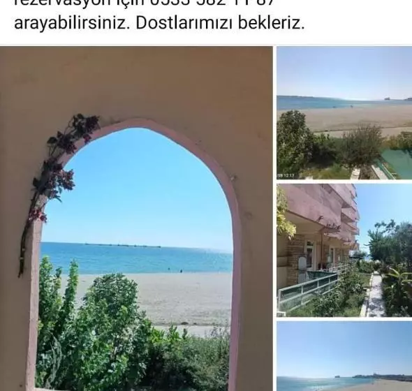 Deni̇z Yildizi