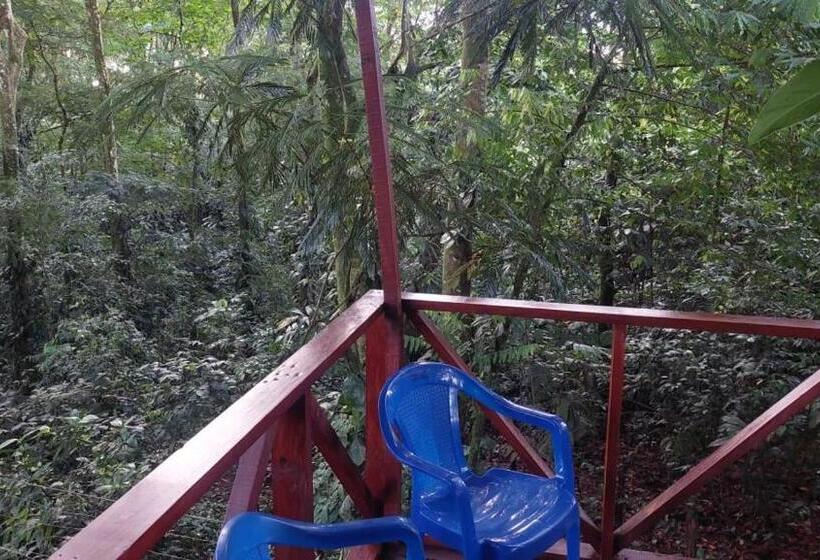 ユースホステル Hal