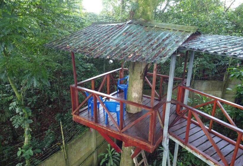 ユースホステル Hal