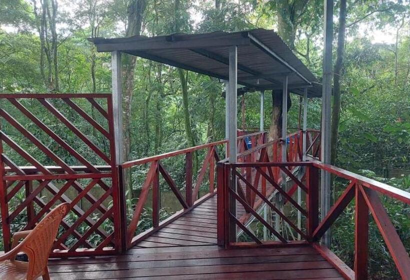 ユースホステル Hal