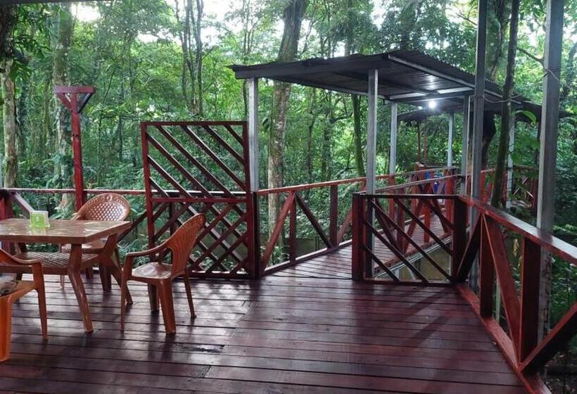 ユースホステル Hal