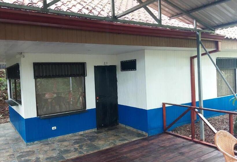 ユースホステル Hal