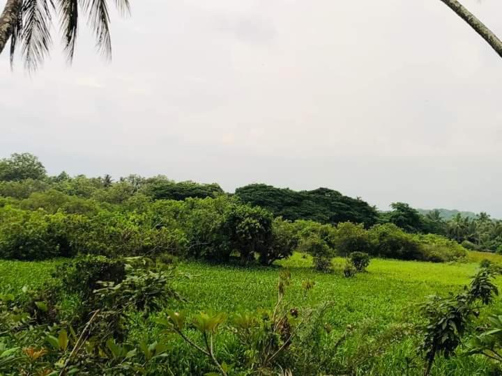 Lotus Cool Hotel And Restaurant