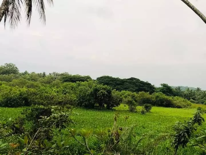 Lotus Cool Hotel And Restaurant