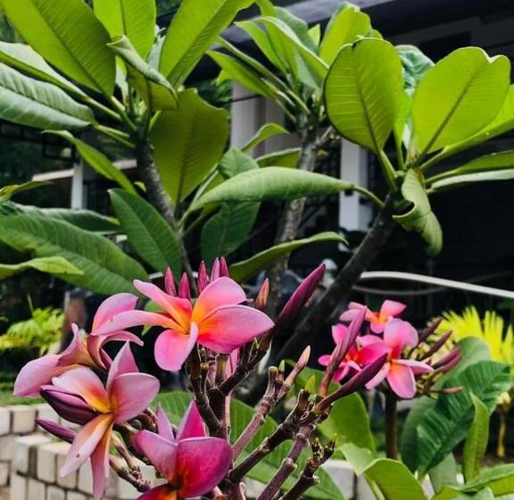 Lotus Cool Hotel And Restaurant