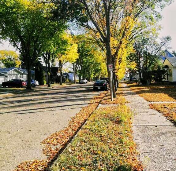 Panzió Amazing Park View House