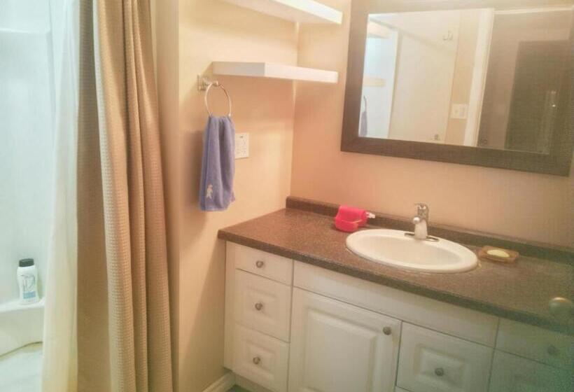 Panzió Amazing Park View House