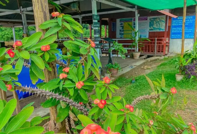 ペンション Som O Guesthouse