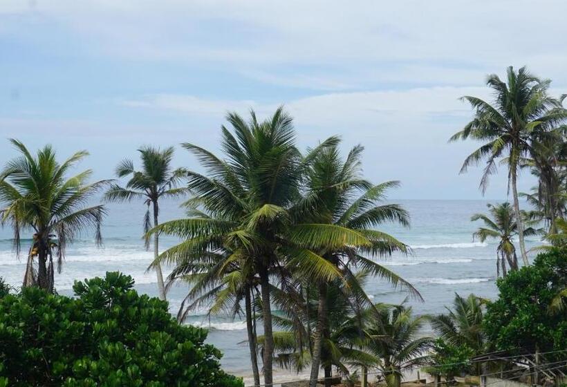 Pensió Surf View Resort