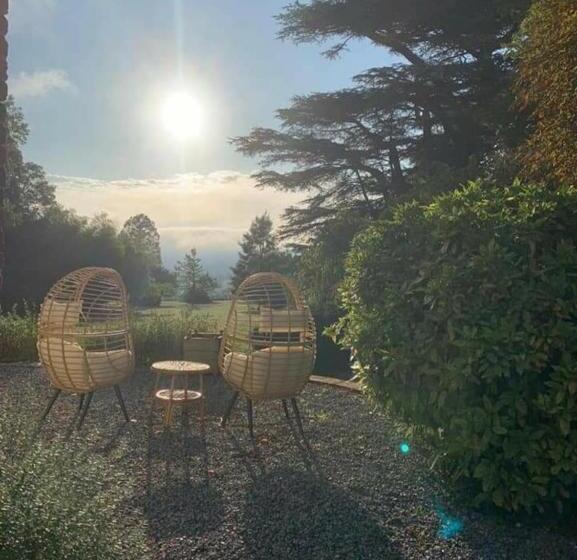 ベッドアンドブレックファースト Petite La Belle