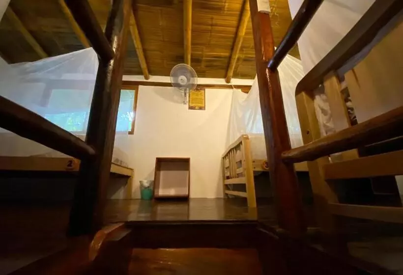 ユースホステル Hidden House