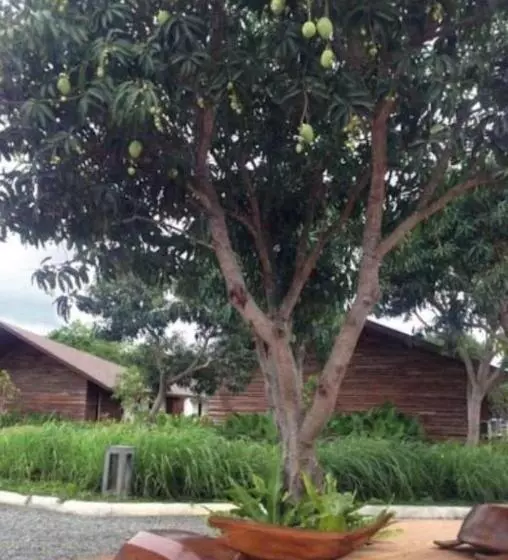 Hotelli Astoria Palawan