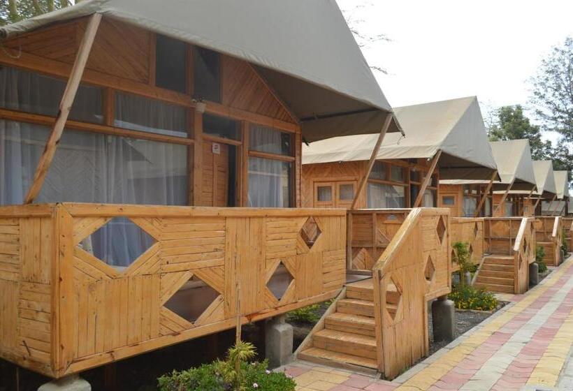 هتل Kentwood Cabins And Camp