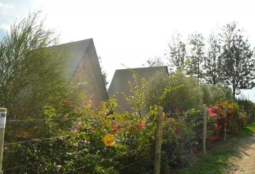 هتل Kentwood Cabins And Camp