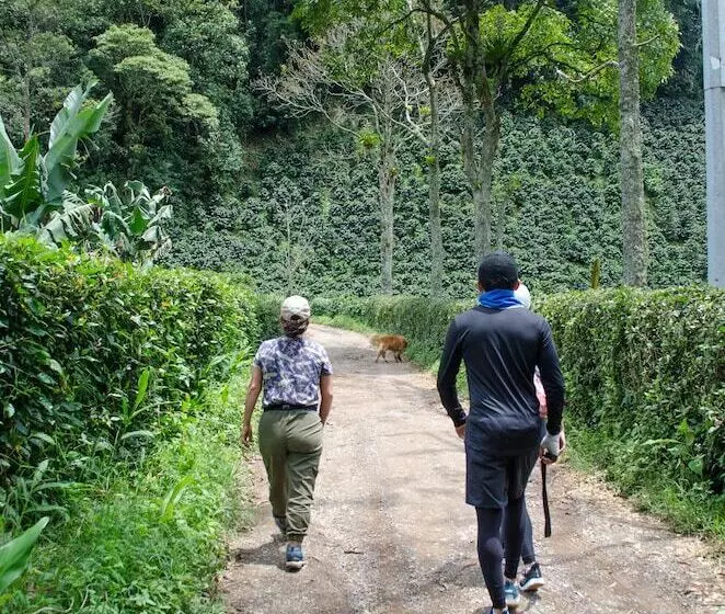 ホテル Pradera Ecoliving