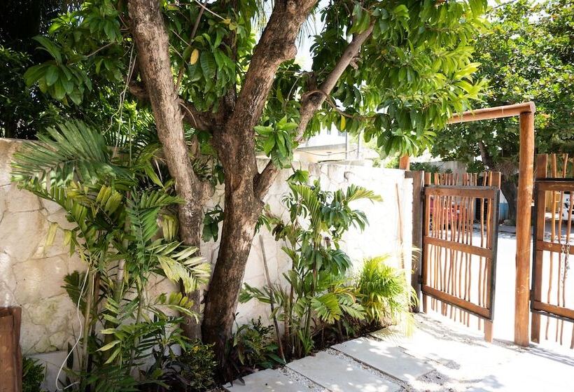 酒店 Yax Kiin Casa Boutique