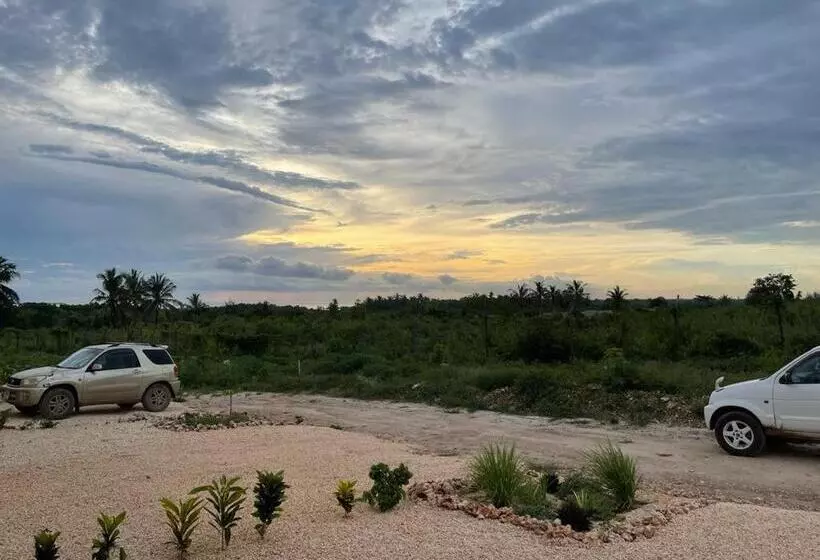 پانسیون Fumba Villa