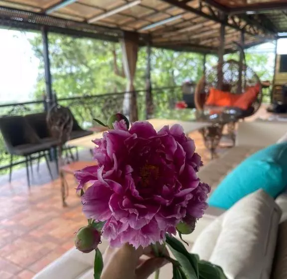 پانسیون La Villa
