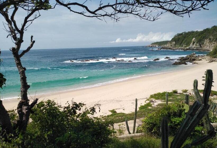 膳宿费 Room In House   Double Bed, Queen Size, Small Kitchen, Terrace, Wi Fi  Air Condition