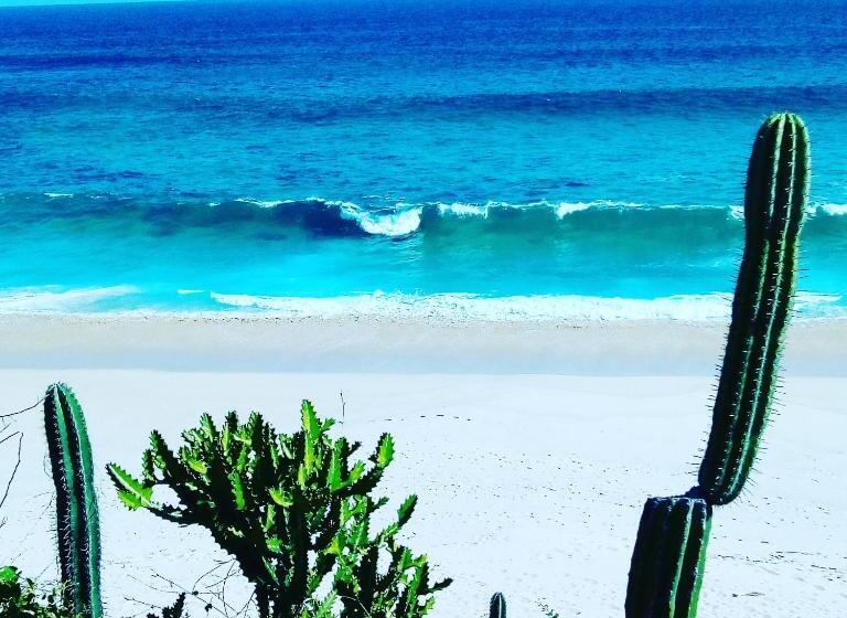 膳宿费 Room In House   Double Bed, Queen Size, Small Kitchen, Terrace, Wi Fi  Air Condition