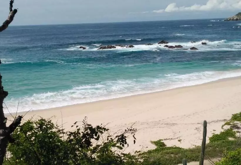 Majatalo Room In House   Double Bed, Queen Size, Small Kitchen, Terrace, Wi Fi  Air Condition