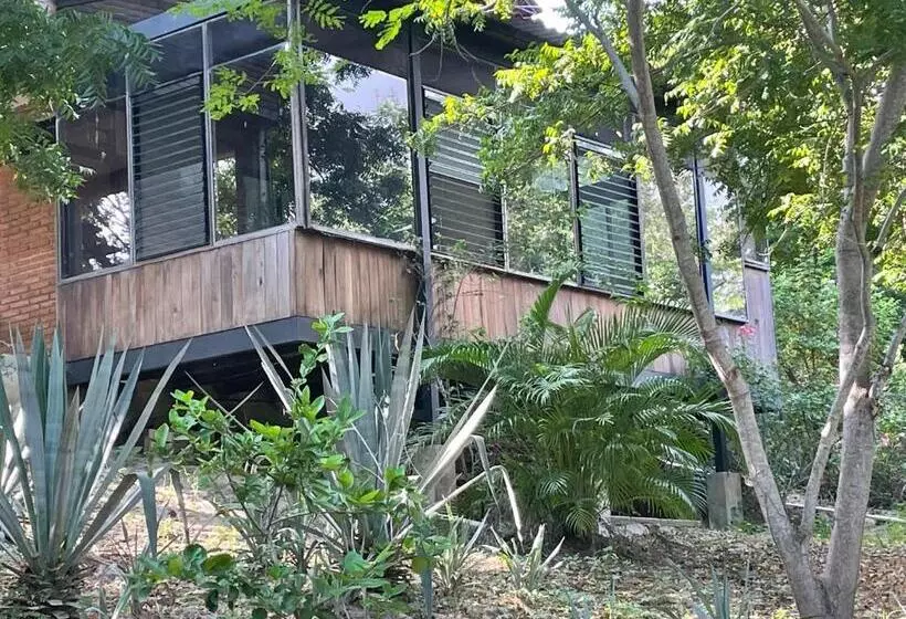 Majatalo Room In House   Double Bed, Queen Size, Small Kitchen, Terrace, Wi Fi  Air Condition