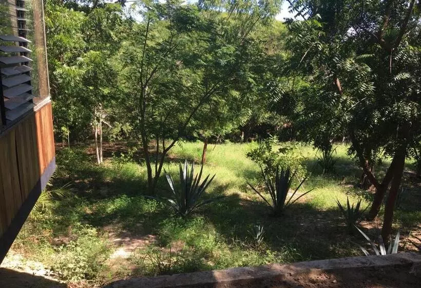 Majatalo Room In House   Double Bed, Queen Size, Small Kitchen, Terrace, Wi Fi  Air Condition