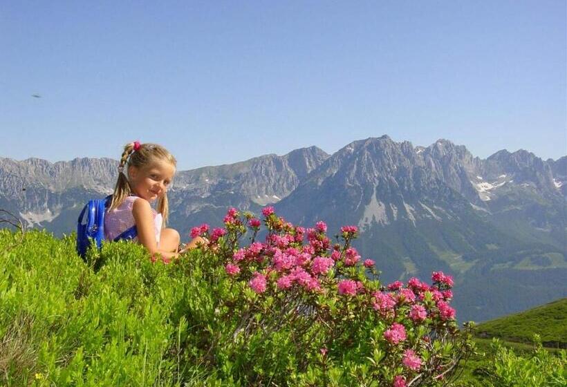 ホテル Baumgarten & Chalet Baumgarten