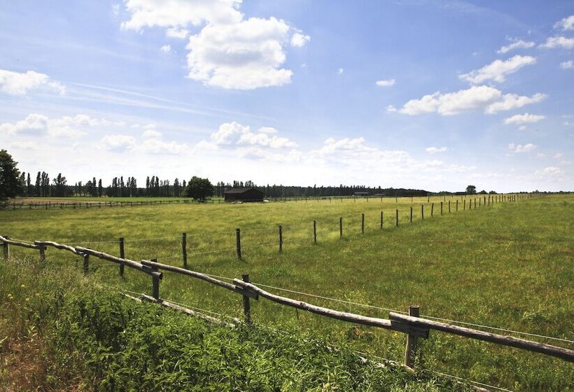 בית מלון כפרי Country Inn Suiten