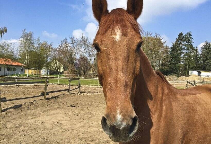 בית מלון כפרי Country Inn Suiten