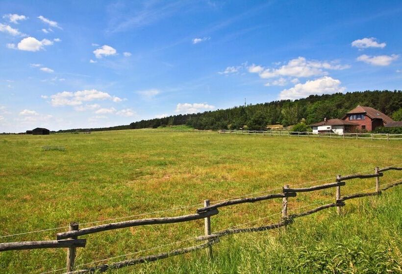 בית מלון כפרי Country Inn Suiten