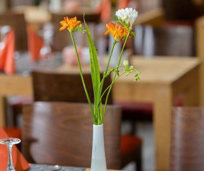 בית מלון כפרי Country Inn Suiten