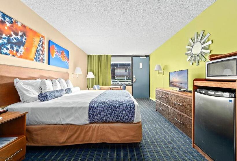 酒店 Harris House By The Beach