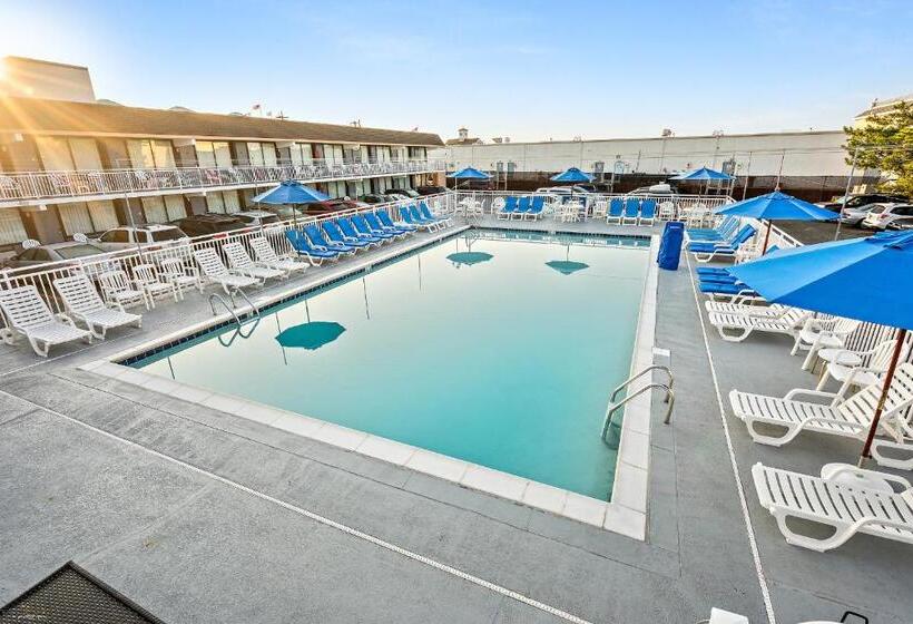 酒店 Harris House By The Beach