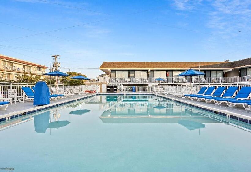 酒店 Harris House By The Beach