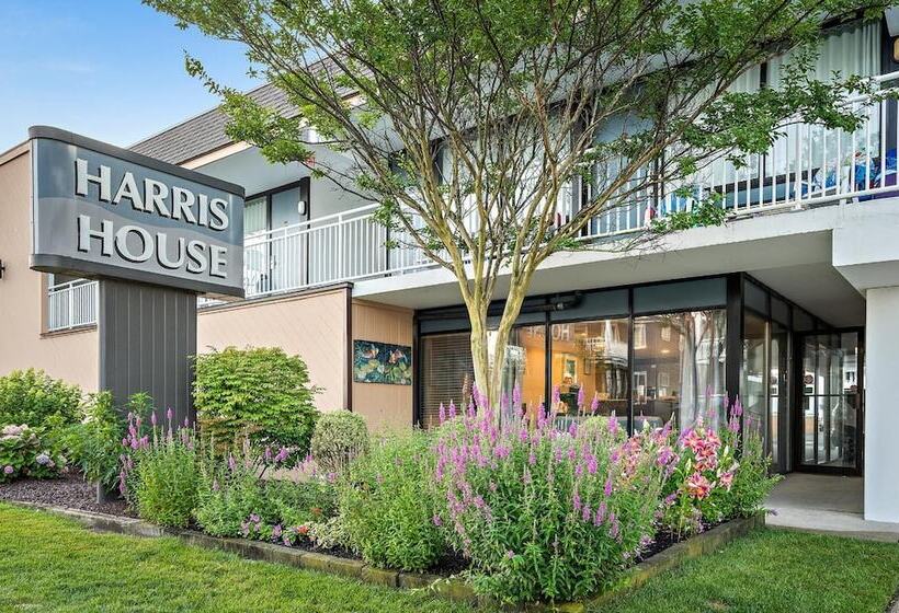 酒店 Harris House By The Beach